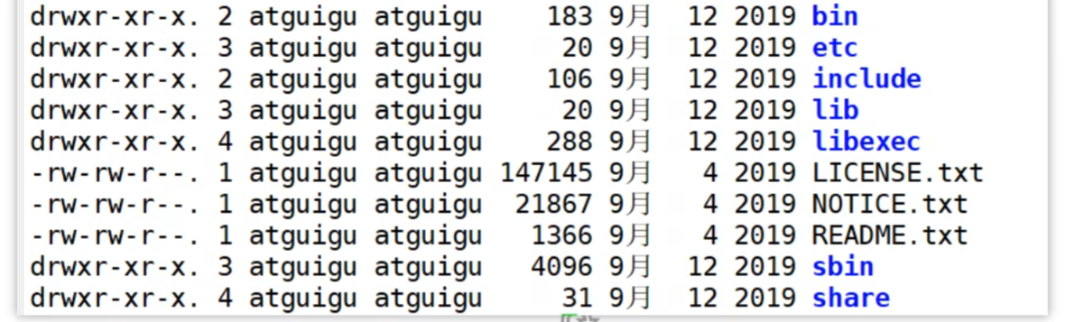 image-20251102064726453